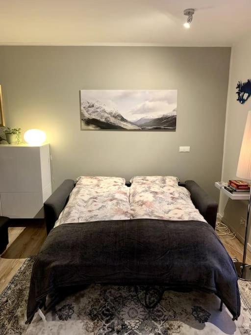 Cosy One Bedroom Apartment In Reykjavík Kültér fotó